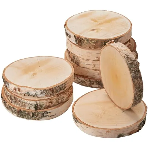 Große Holzscheiben zum Basteln oder Dekorieren - 10 Stück naturbelassene Baumscheiben ca. 20 cm (18 - 22 cm) Durchmesser aus Birkenholz - runde Holz Birkenscheiben als Holzdeko Holzplatten