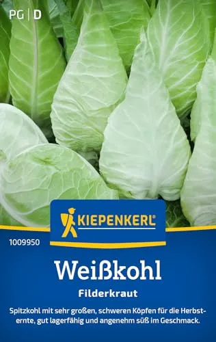 Kiepenkerl Weißkohlsamen Filderkraut 1009950 - Spitzkohl - Süßer Geschmack - Inhalt für 50 Pflanzen - Gemüsesamen, Samen Gemüse, Saatgut, Gemüsepflanzen
