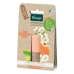 Kneipp Lippenpflege Samtweich von Kneipp