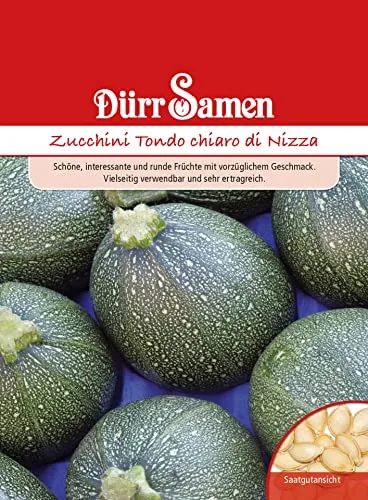 Dürr-Samen - Zucchini Tondo chiaro di Nizza Saatgut
