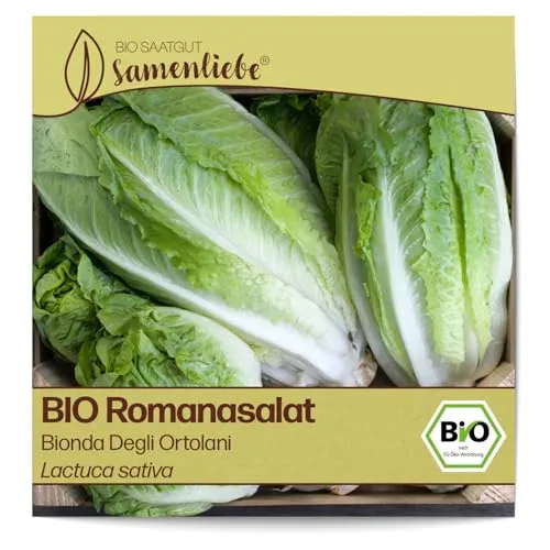 Samenliebe BIO Romanasalat Samen Bionda Degli Ortolani knackiger Romasalat großer Salat grün 500 Samen samenfestes Gemüse Saatgut für Gewächshaus Freiland und Balkon BIO Gemüsesamen