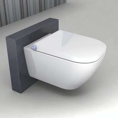 Spülrandloses Dusch WC Gesäßdusche BERNSTEIN Basic1104 - Sanitäranlagen & Zubehör: Hochwertiges spülrandloses Dusch-WC aus Keramik, bietet optimale Hygiene und modernes Design für Ihr Badezimmer.