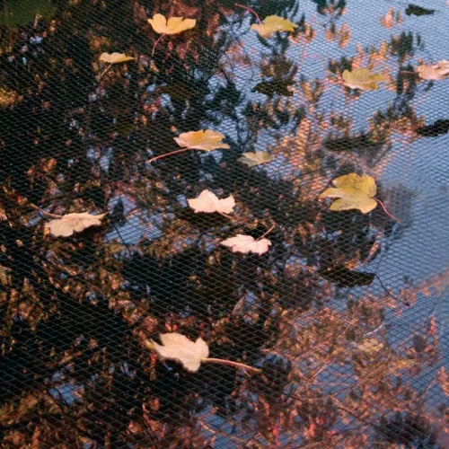 Ubbink Teichabdecknetz PE 3x6 m von Ubbink