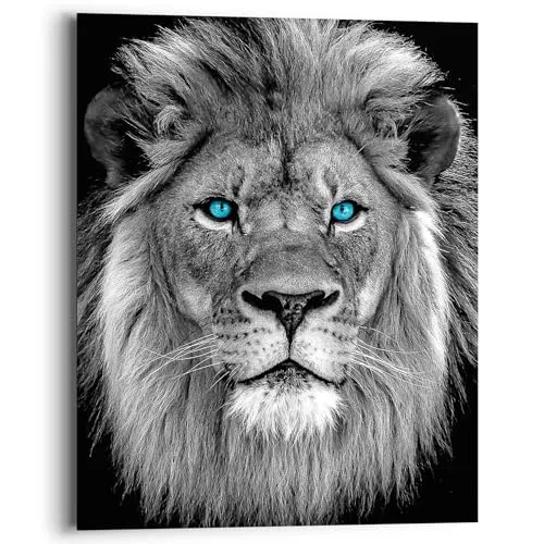 REINDERS Wandbild, Löwe mit blaue Augen, Teenager Zimmer, Bilder, Wanddeko, Room Decor, MDF, Schwarz-Weiß, 50x40cm