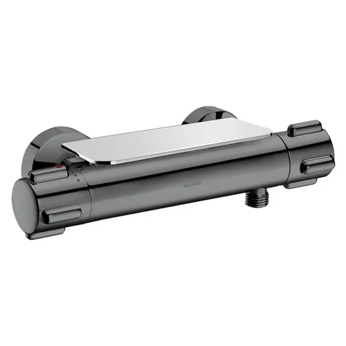 Delabie Ablage für Zweigriff-Thermostat-Brausearmaturen