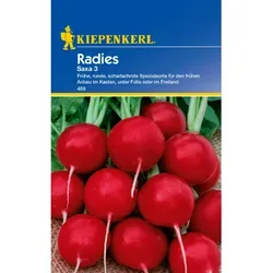 Produktbild Kiepenkerl Radieschen Saxa 3 Zoll
