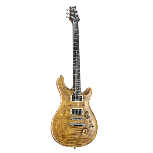 Fame Forum IV Modern Serie M E-Gitarre, elektrische Gitarre mit Humbucker Tonabnehmer, Electric Guitar mit braune Riegelahorndecke, Forum Double Cut