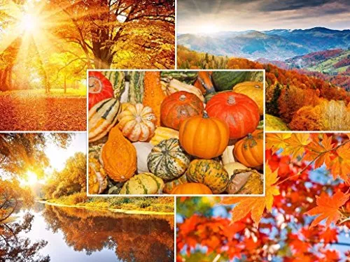 Edition Colibri HERBST-LANDSCHAFTEN (Set 6): 50-er Postkarten-Set (5 Motive x 10 St.) für Postcrossing und Vielschreiber (10695-99)
