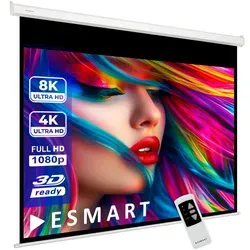 ESMART Professional MIMOTO Motor-Leinwand 342 cm - 305 x 229 cm (150
