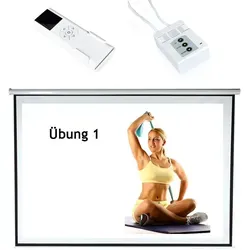 Feel2Home Beamerleinwand 244x182cm Motor Leinwand inkl. FFB Projektion Heimkino Motorleinwand (HDTV tauglich)