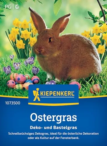Kiepenkerl Ostergras Deko- und Bastelgras 1073500 - schnellwüchsig - Dekogras - ideal als Osterdekoration - einjährig - Saatgut, Rasensamen, Grassamen