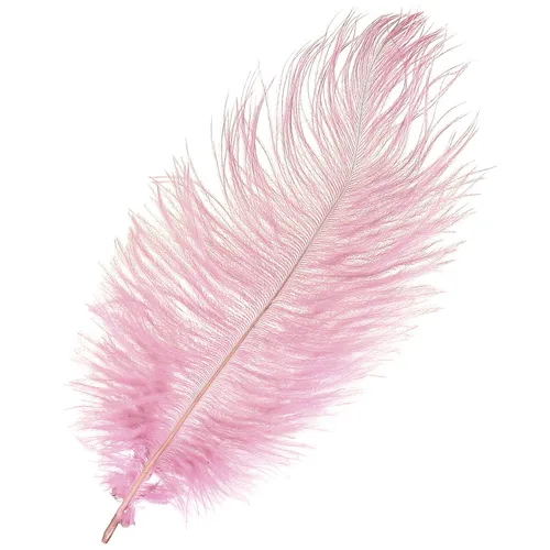 Straußenfedern Rosa Deko 20-25cm 12 Stück Echte Federn Hochzeit Basteln
