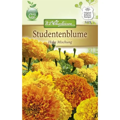 Chrestensen Studentenblume 'Hohe Mischung'