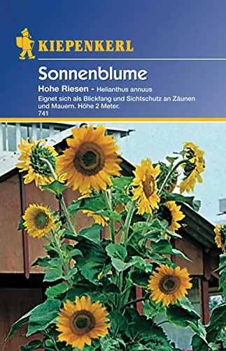 Sperli Blumensamen Sonnenblume Helianthus Hohe Riesen, grün