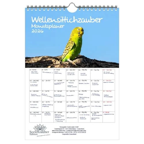 Wellensittichzauber Planer DIN A4 Kalender für 2026 Wellensittiche - Seelenzauber