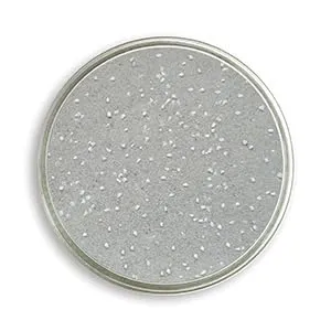 Eivolution Badesand 8 kg mit Anis für Hühner und Wachteln - mit Kalkgrit - für Gefiederpflege und gegen Parasiten - für mehr Wohlbefinden