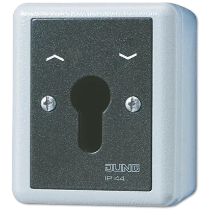 Jung 834.28G Schlüsselschalter Serie WG - Smart Home Schlüsselschalter, 10 AX, 250 V ~, robustes Alu-Druckguss-Gehäuse, ideal für sichere Steuerung von Jalousien mit 2-poligem Wendetaster.