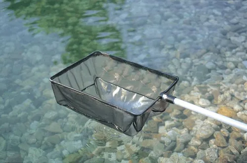 OASE 36297 Algenkescher groß - 38 x 26 cm, ausziehbarer Teleskopstiel bis 180 cm, ideal zur mühelosen Algenentfernung und Teichreinigung