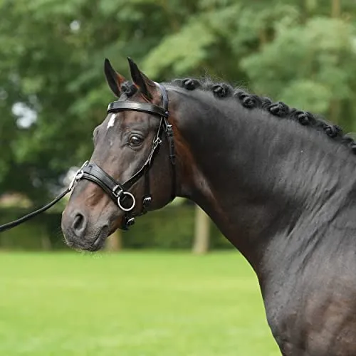 BUSSE Kappzaum FIT PRO für Ponys, schwarz