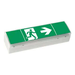 Ceag SV EURO 4 LED 3 H - Einseitige Notbeleuchtung - Notbeleuchtung mit klarer Haube und 3 Piktogrammfolien, ideal für sichere Kennzeichnung von Fluchtwegen, mit einer Betriebsdauer von bis zu 3 Stunden.