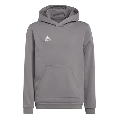 Adidas Entrada 22 Hoody von adidas