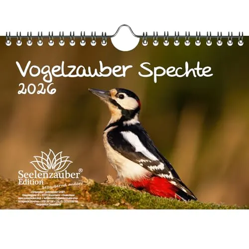 Vogelzauber Spechte DIN A5 Kalender für 2026 Vogel - Seelenzauber