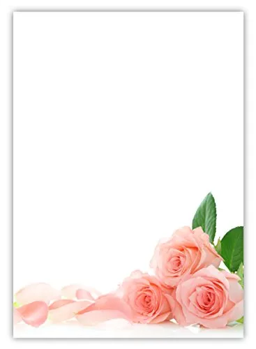 Motiv Briefpapier (rosa Rosen-5024, DIN A4, 25 Blatt). Einseitig bedrucktes Briefpapier, sehr gut beschreibbar, Motivpapier für alle Drucker/Kopierer geeignet Motiv rosa Rosen pink Blumen Rosenblüten