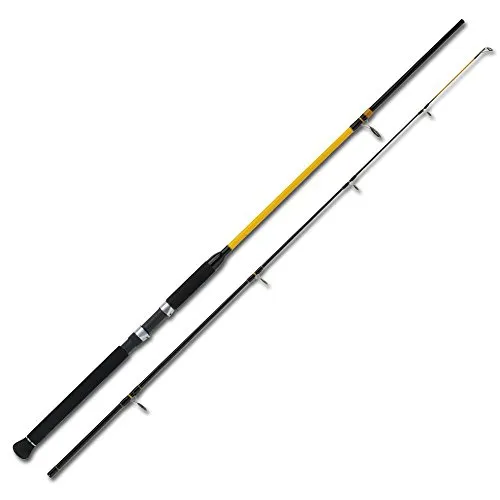 WFT Never Crack Senso Pilk Pilkrute 50-160g 2,70m von WFT