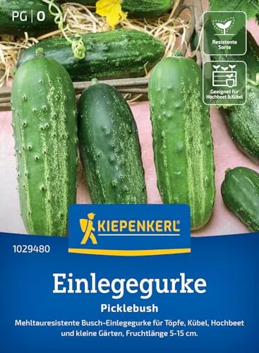 Kiepenkerl Einlegegurkensamen Picklebush 1029480