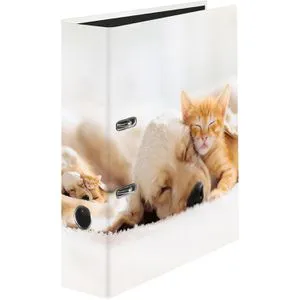 Falken Ordner 22002016, Karton, A4, 8cm, Motiv Pets