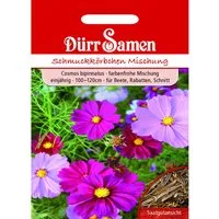 Dürr Samen Cosmea Prachtmischung Einjährig Saatgut