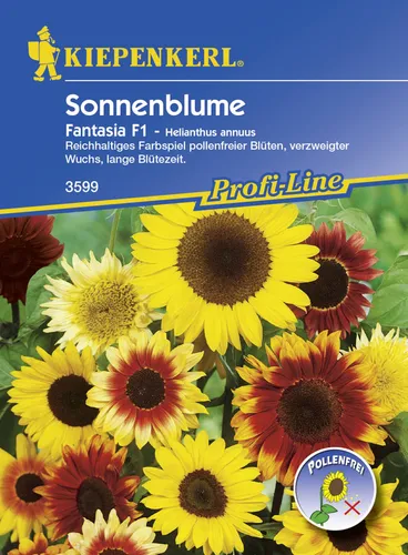 Kiepenkerl Sonnenblume Fantasia Helianthus annuus, Inhalt: ca. 20 Pflanzen