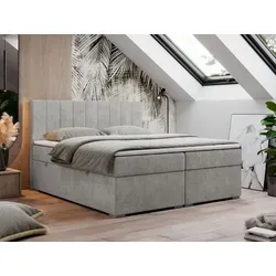 Boxbett in Hellgrau in silber von MKS Meble