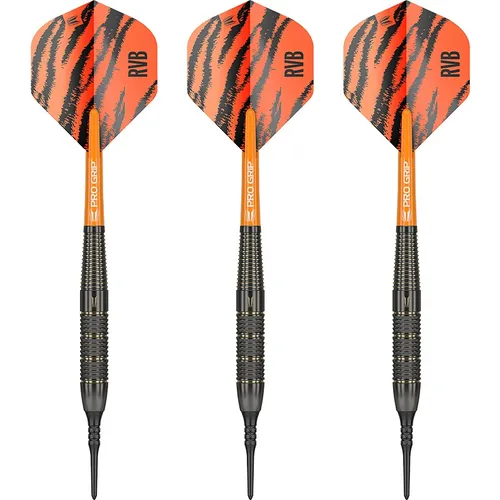 Target Softdarts Set Raymond van Barneveld RVB Brass komplett Dartset Softtip