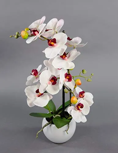 Seidenblumen Roß Orchidee Real Touch 50x20cm weiß-Bordeaux in weißer Keramikvase GA Kunstblumen Kunstpflanzen künstliche Phalaenopsis Blumen Pflanzen