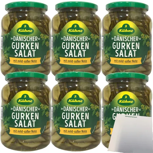 Kühne Dänischer Gurkensalat mit milder süßer Note 6x670g Glas + usy Block