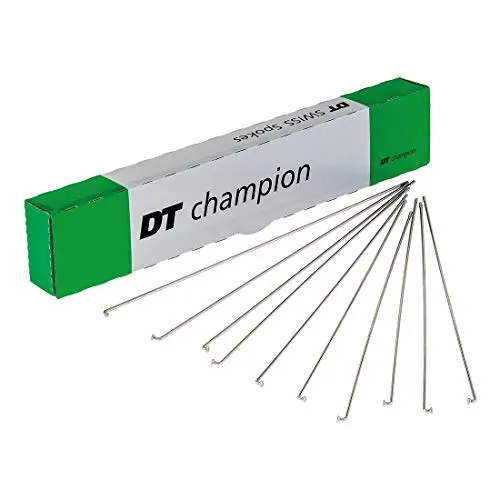 DT Swiss Champion M (SCH020254N0100) - Hochwertiges Laufrad Zubehör für optimale Sicherheit und Fahrkomfort, ideal für kleine Abenteurer im Freien.