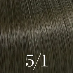 Color Touch Rich Naturals