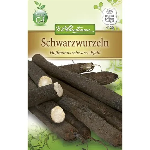 Chrestensen Schwarzwurzeln 'Hoffmanns schwarze Pfahl'