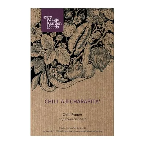 Produktbild Chili 'Aji Charapita'
