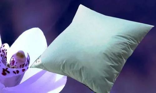 Betten Hofmann Canada Flachkissen 80x80 cm, Kinderkissen Federkissen Kopfkissen, 30% Daunen, 450 g Füllung, waschbar, 100% Natur