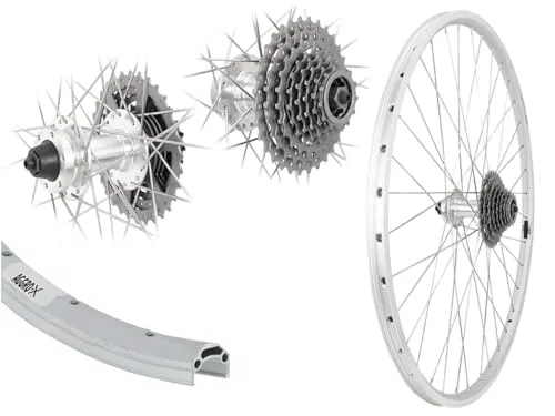 Aggro-X 28 Zoll Hinterrad V-Profil 19-622 Laufrad Disk 6-Loch Felgenbremse + 8 Fach Zahnkranz 24 Gang