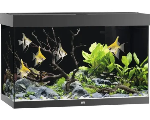 Juwel Aquarium Rio 290 LED Schwarz in schwarz von JUWEL Aquarium