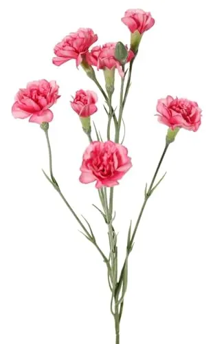 artplants.de Künstlicher Zweig Nelke PIARA, rosa, 60cm, Ø2-5cm - Kunstblumen Zweig