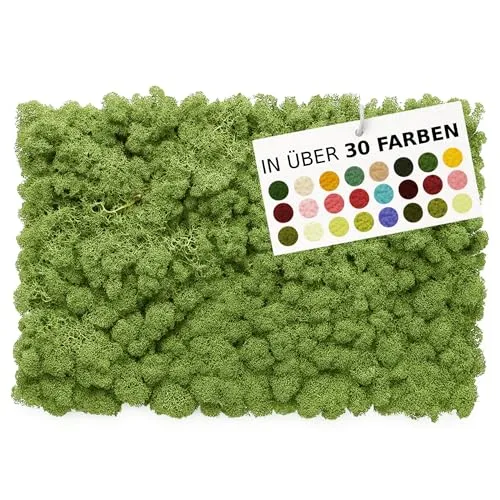 NaDeco Island-Moos 500g, echtes Moos in 30 Farben zur Wahl, fluffig & prall, Basteln Wand Deko Moss, für Moosbild Mooswand Moosplatten Kugelmoos Dekoration Ostern Weihnachten, Farbe:Waldgrün