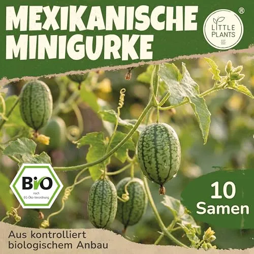 Saatgut von Little Plants