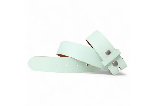 FRONHOFER Ledergürtel 18267 (1-St) Gürtel 4 cm, aus Rindsleder, Wechselgürtel für Herren/Damen