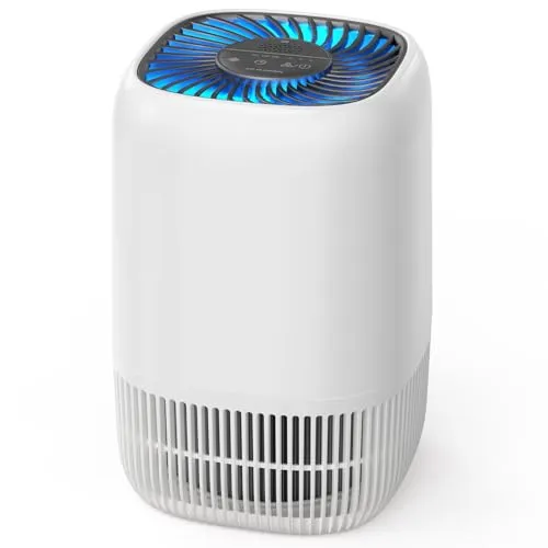 AROEVE Luftreiniger mit H13 HEPA-Filter