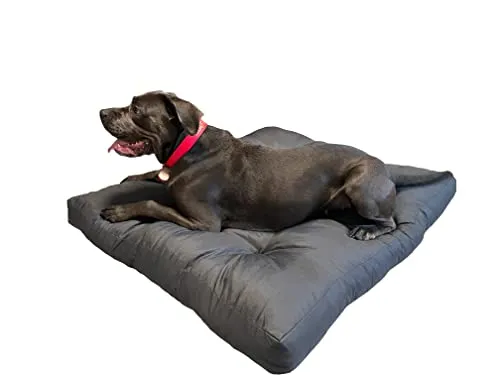 Pillows24 Hundebett in 3 Größen M, L und XL erhältlich, 10 cm hoch, Hundematte ideal für kleine, mittlere und große Hunde, waschbares Hundekissen, 100% Oxfort-Polyester, leicht zu reinigen