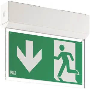 RZB LED-Sicherheitsleuchte 672420.002 - 3h Notlicht - Wandleuchte zur Rettungswegkennzeichnung, mit automatischem Selbsttest und schlagzähem Gehäuse aus hochtransparentem Kunststoff. Ideal für sichere Beleuchtung in Notfällen.